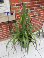 IMG_20190516_112912.webp