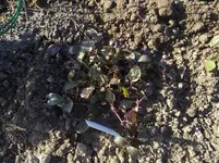IMG_20190516_181500.webp