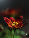 0M3A8478.jpg
