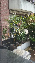 20190505_113334.webp