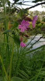 20190517_191009.webp