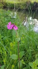 20190517_191233.webp