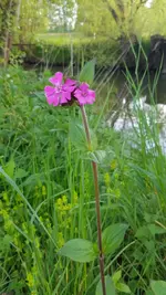 20190517_191239.webp