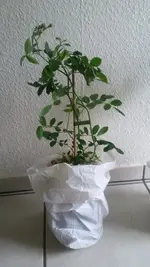 20190516_110307.webp
