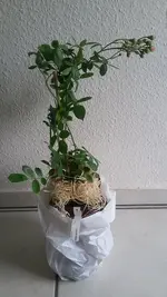 20190516_110251.webp