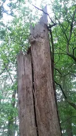 20190517_141716.webp
