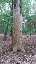 20190517_141608.webp