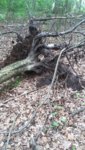 20190517_142042.jpg