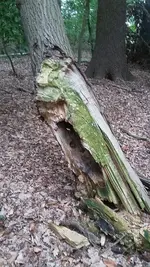 20190517_141858.webp