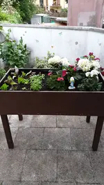 IMG-20190516-WA0016.webp