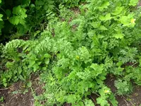 IMG_20190518_143113695.webp