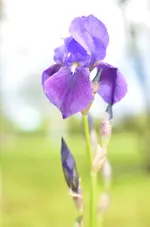 DSC_0027.webp
