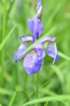 DSC_0032.JPG