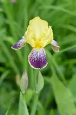 DSC_0034.webp