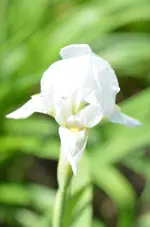 DSC_0040.JPG