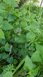 20190518_183624.webp
