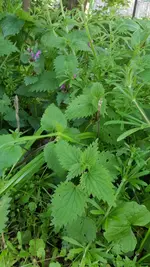 20190518_183634.webp