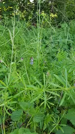 20190518_183243.webp