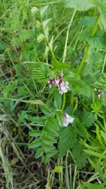 20190518_183240.webp