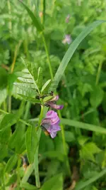 20190518_181446.webp