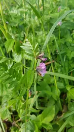 20190518_181437.webp