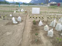 IMG_20190518_114626.webp