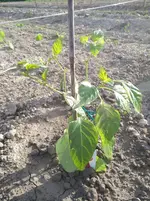 IMG_20190518_182049.webp