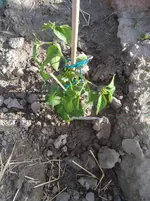 IMG_20190518_182253.webp
