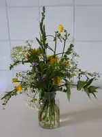 P1050791.webp