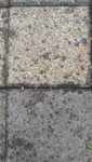IMG_20190519_143951.jpg