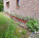 20190519_135631_wm.webp