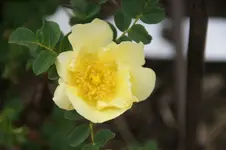 DSC07699.webp