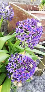IMG_20190515_120233.webp