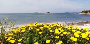 IMG_20190515_134719.webp
