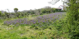 IMG_20190518_111841.webp