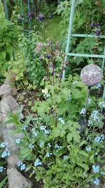 IMG_20190517_163518.webp