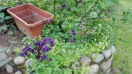 IMG_20190517_163408.webp