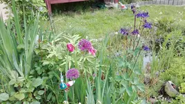 IMG_20190517_163033.webp
