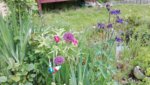 IMG_20190517_163033.jpg