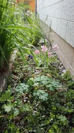 IMG_20190517_162650.webp