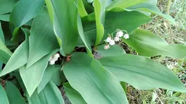 IMG_20190517_163346.webp