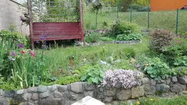 IMG_20190517_163018.webp