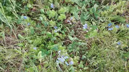 IMG_20190517_162744.webp
