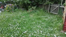 IMG_20190517_163139.webp
