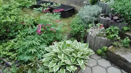 IMG_20190517_163429.webp