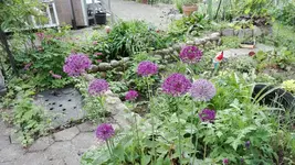 IMG_20190517_163415.webp