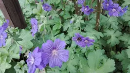 IMG_20190517_163158.webp