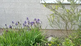 IMG_20190517_162716.webp