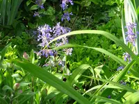 DSC00253.webp