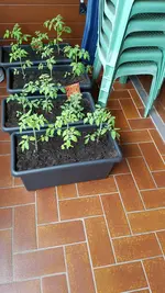 20190520_172111.webp